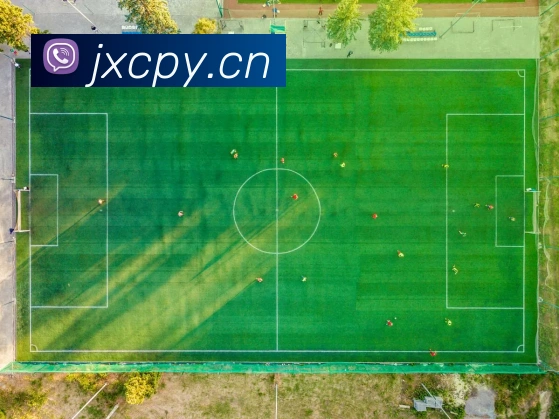 星空软件官网平台生态图